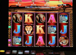 大小单双导师带赚包赔2024最新版