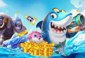 大小单双导师带赚包赔客户端