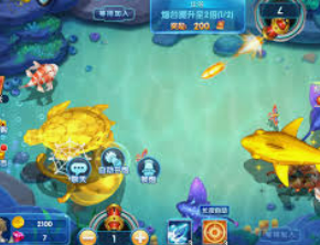 大小单双导师带赚包赔最新版