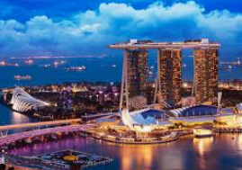 大小单双导师带赚包赔